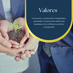 Valores Celich Branding